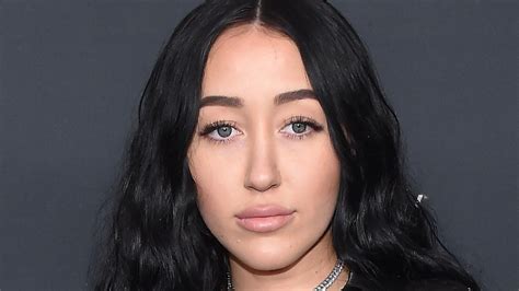 noah cyrus net worth|hannah montana net worth.